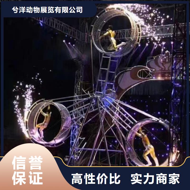 马戏团/羊驼美人鱼表演一站式服务