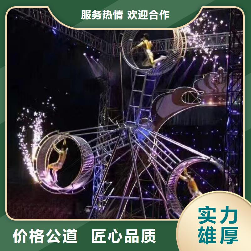 马戏团/羊驼-动物表演出租品质好