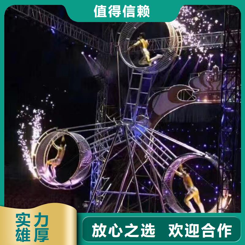 【马戏团/羊驼】,表演羊驼租赁诚信放心