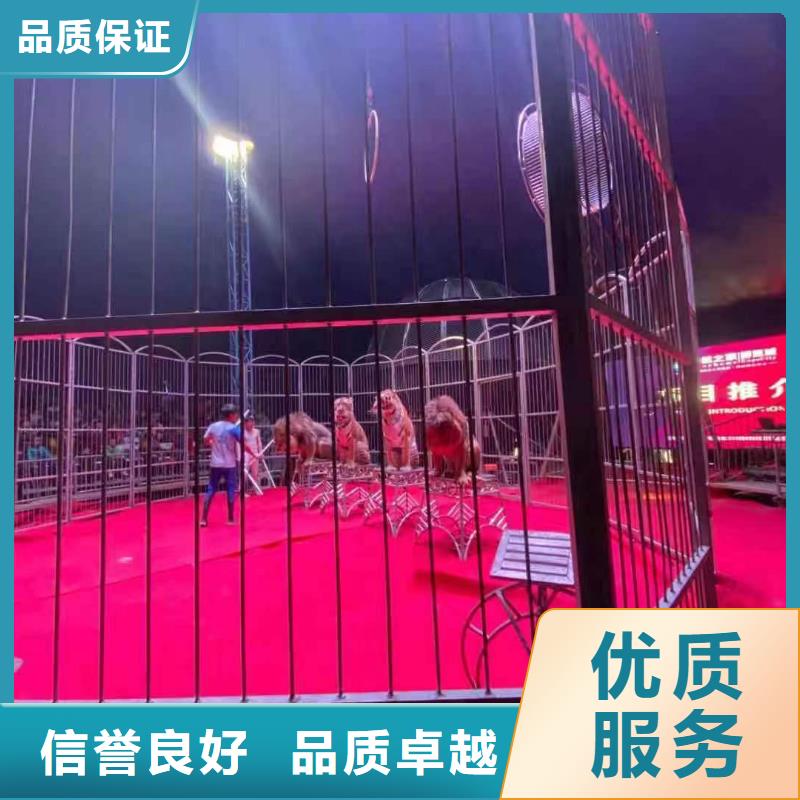 马戏团/羊驼死轮表演2025公司精心