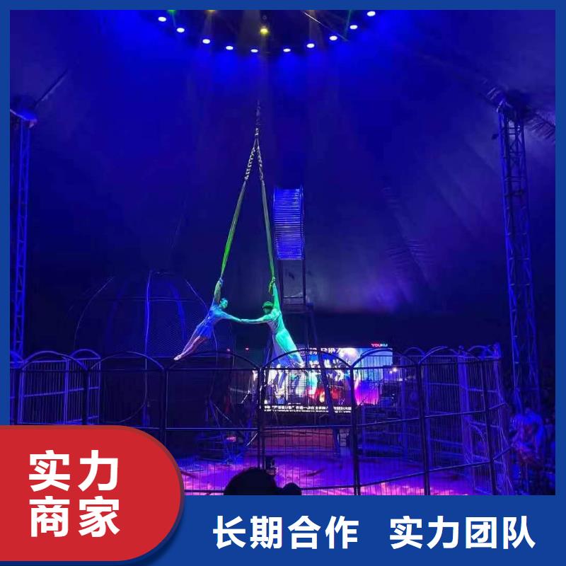 羊驼出租视频-河南省开封市兮洋羊驼出租可服务区域龙亭|金明|商丘|许昌|洛阳|焦作|信阳等