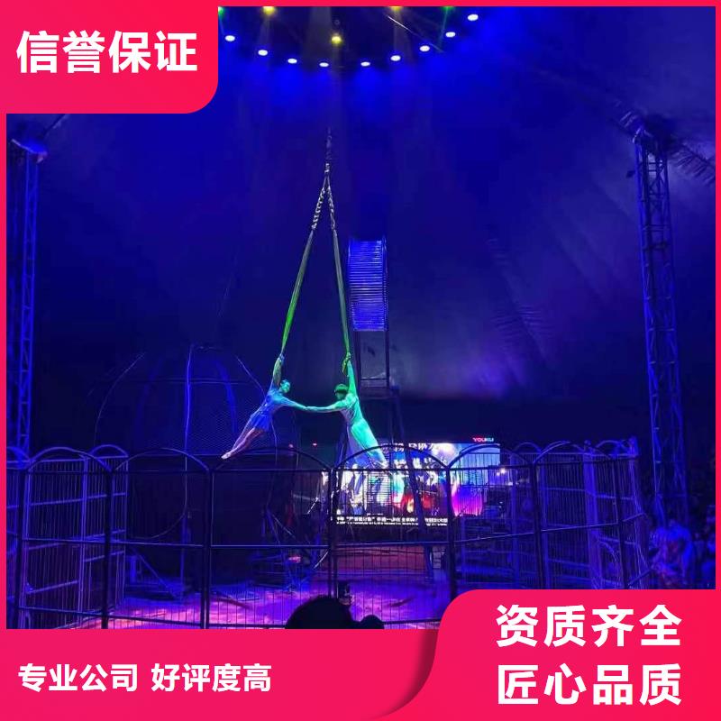 马戏团/羊驼马戏表演值得信赖