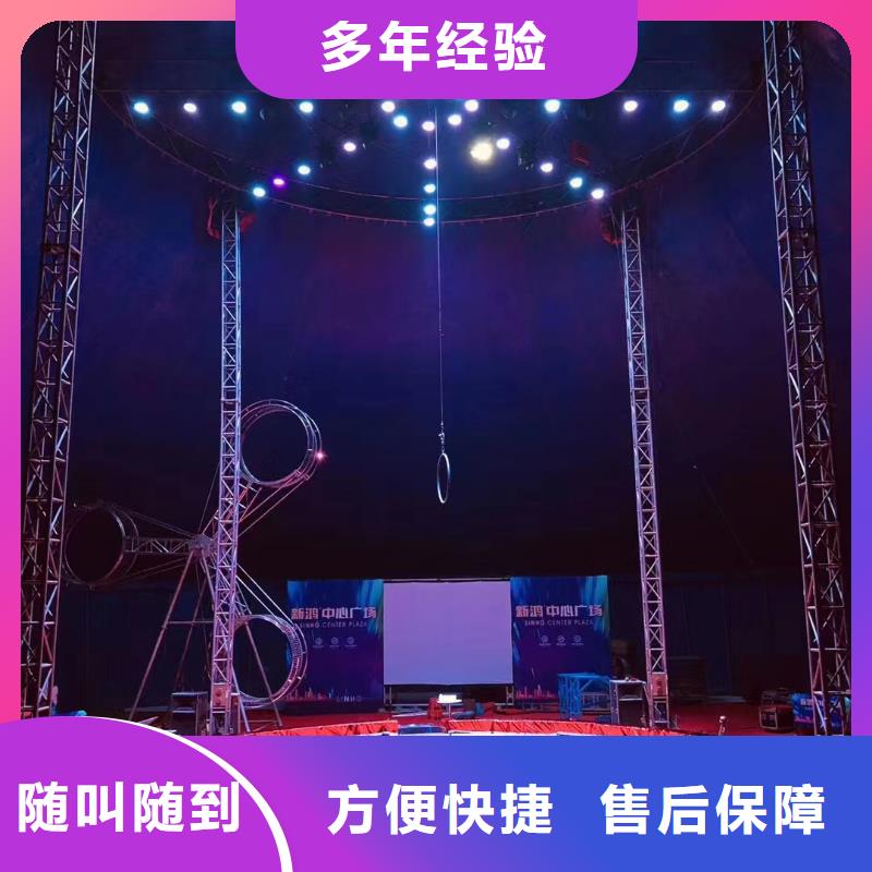 马戏团/羊驼_海狮表演出租2025专业的团队