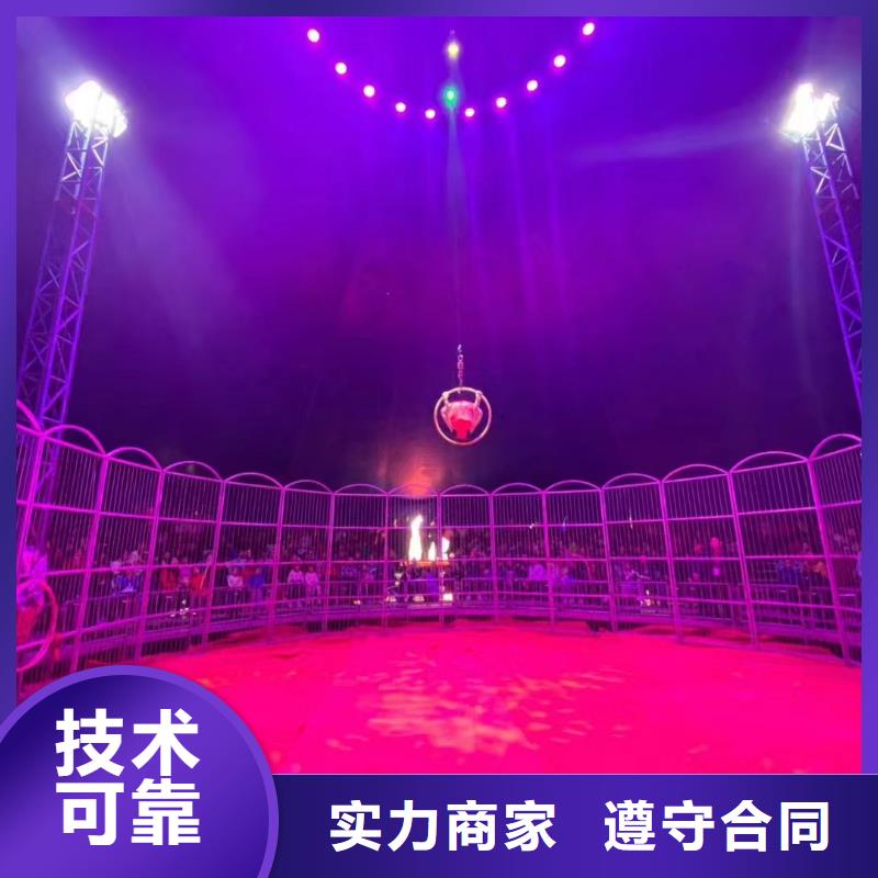 羊驼出租视频-辽源|通化|吉林|长春|四平|延边兮洋羊驼出租_ 兮洋动物展览(吉林省分公司)