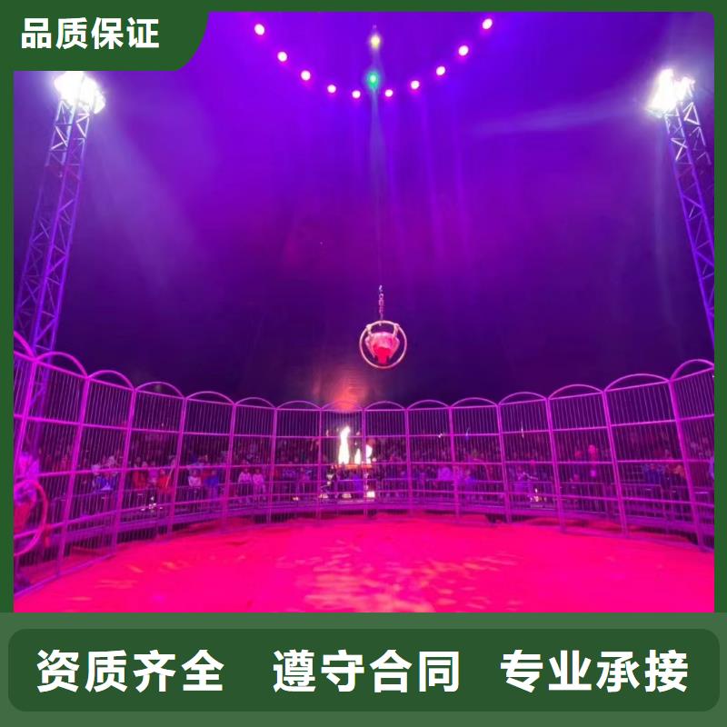 马戏团/羊驼 【出租表演鹦鹉】技术可靠