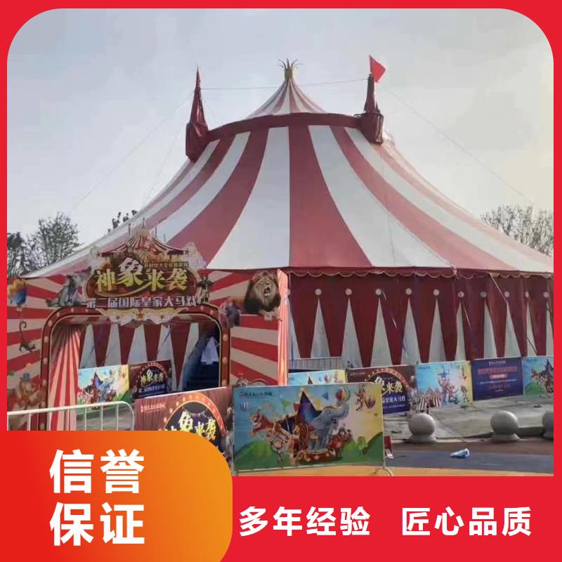 马戏团/羊驼_动物杂技表演租赁解决方案