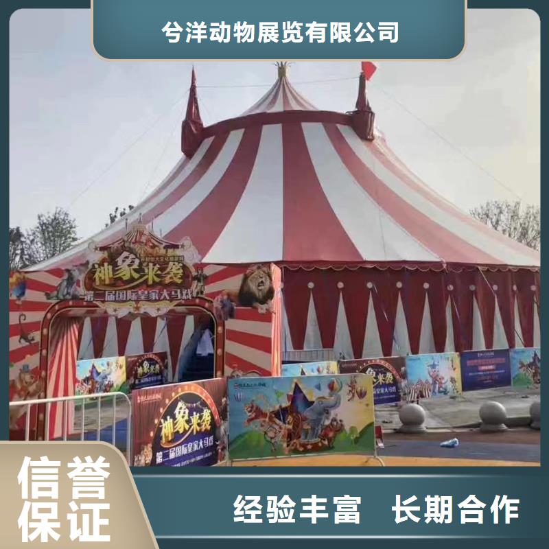 马戏团/羊驼海洋展租赁团队