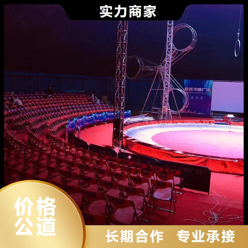 马戏团/羊驼海狮表演出租诚实守信