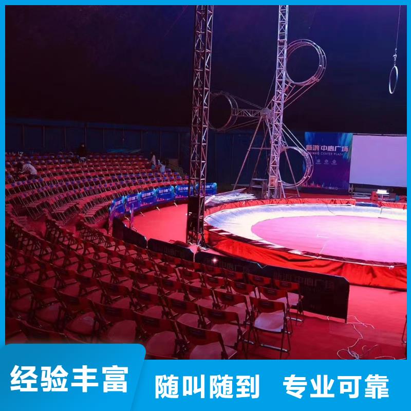 羊驼出租视频-云南省保山市兮洋羊驼出租可服务区域腾冲|施甸|丽江|红河|德宏|玉溪|昆明|怒江等