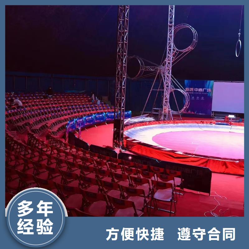 马戏团/羊驼 羊驼出租值得信赖