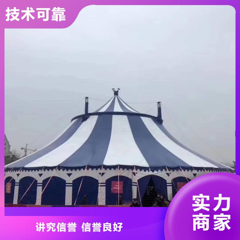 马戏团/羊驼【海狮表演】诚信