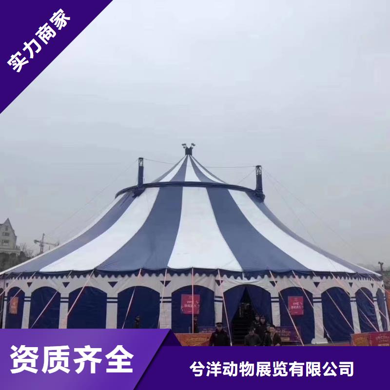 马戏团/羊驼出租表演萌宠诚实守信