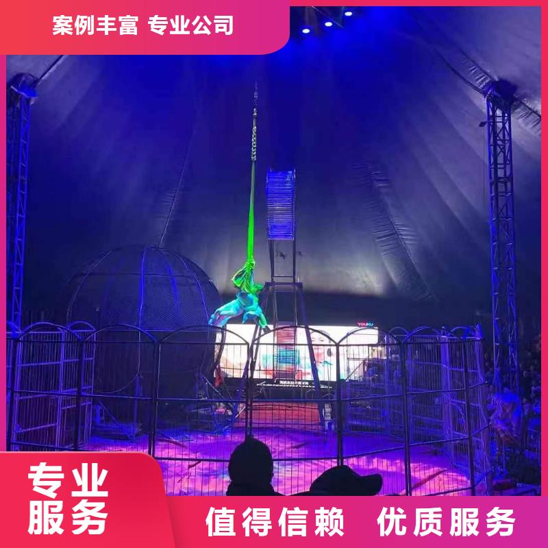 马戏团/羊驼,商场马戏表演出租知名公司