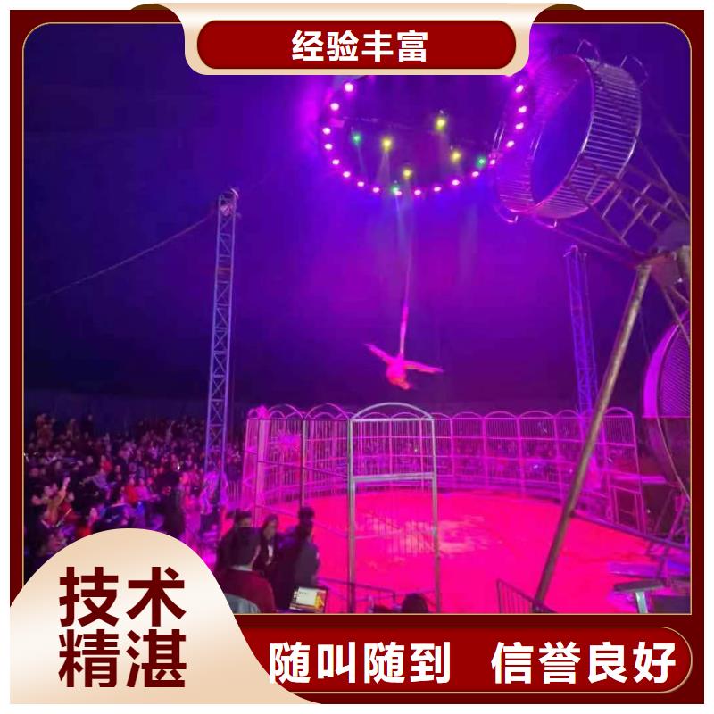 马戏团/羊驼 羊驼出租值得信赖