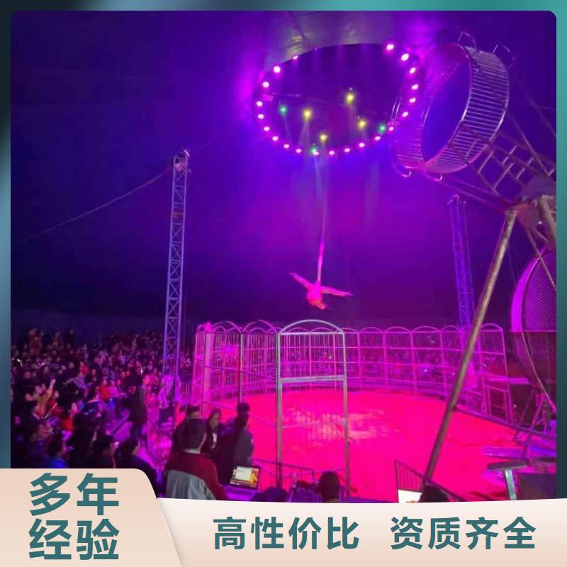 马戏团/羊驼吉祥百鸟展案例丰富