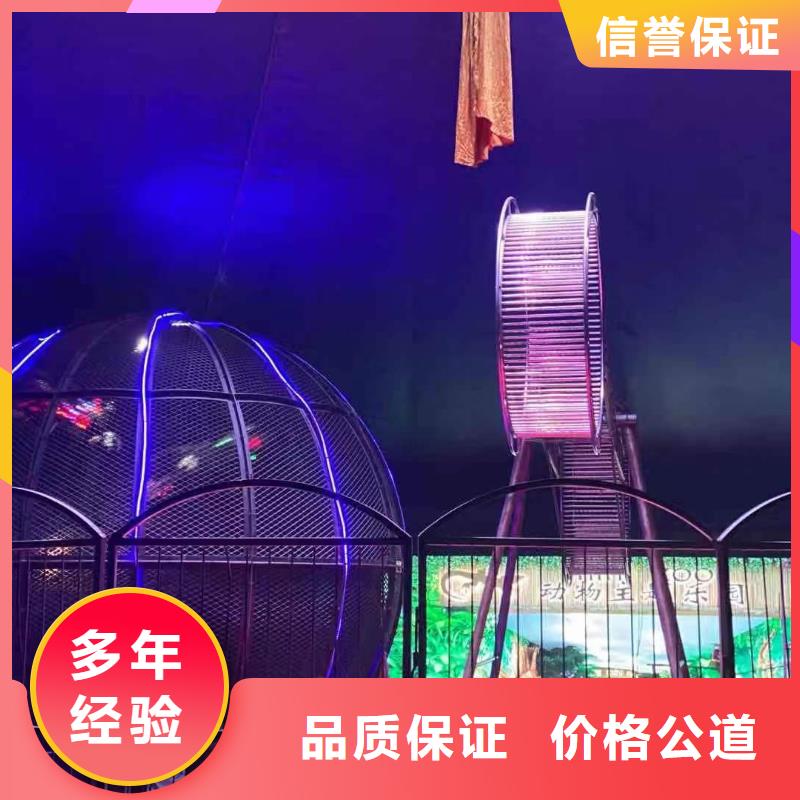 羊驼出租视频-云南省保山市兮洋羊驼出租可服务区域腾冲|施甸|丽江|红河|德宏|玉溪|昆明|怒江等