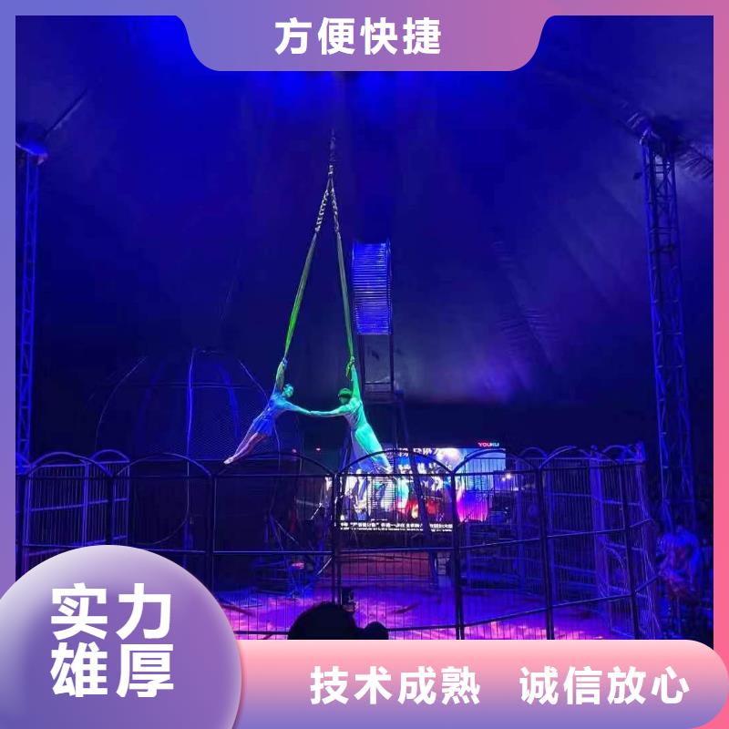 马戏团/羊驼_草泥马羊驼租赁优质服务