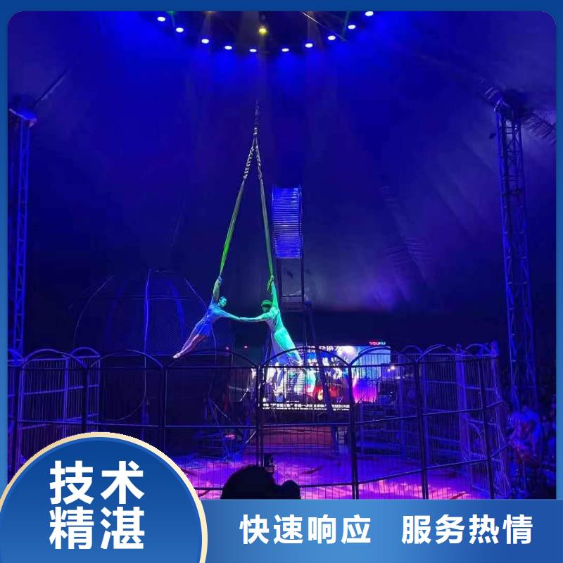 马戏团/羊驼羊驼出租注重质量