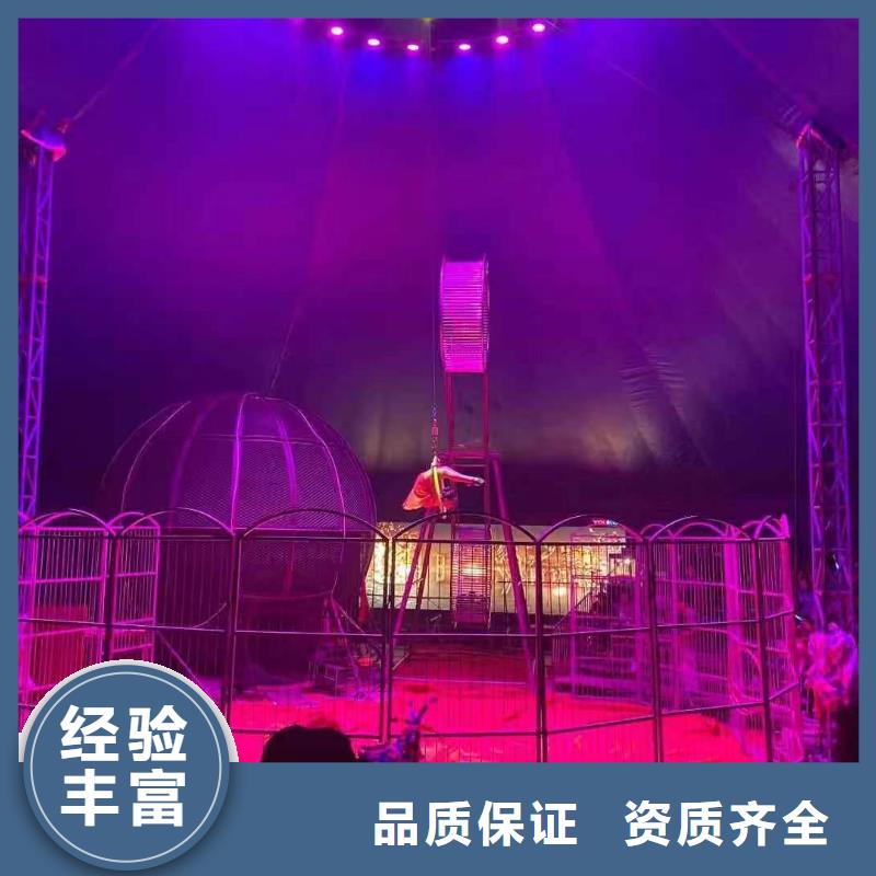 马戏团/羊驼马戏团表演出租2025专业的团队