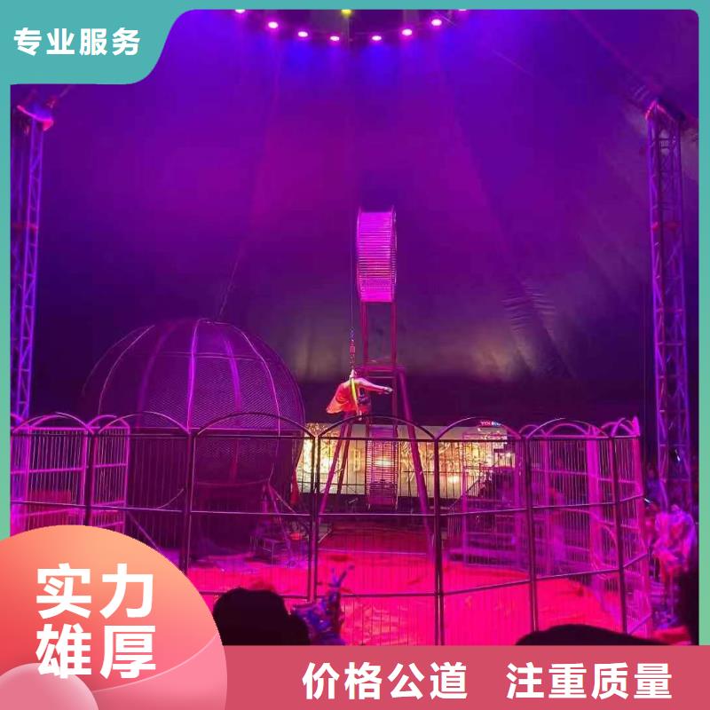 马戏团/羊驼鹦鹉表演租赁实力商家