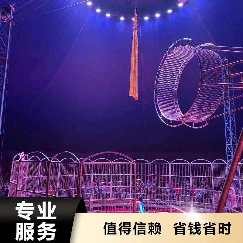 羊驼出租视频-云南省保山市兮洋羊驼出租可服务区域腾冲|施甸|丽江|红河|德宏|玉溪|昆明|怒江等