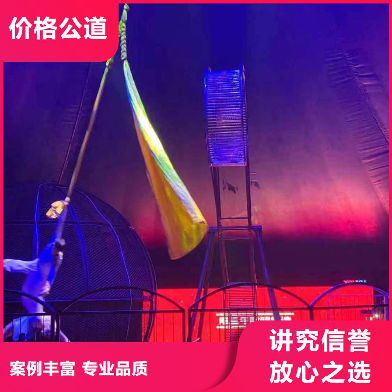 马戏团/羊驼【海狮表演】诚信