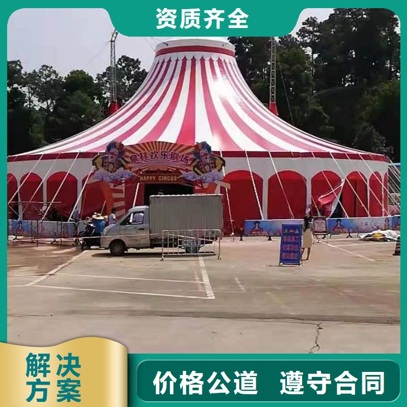马戏团/羊驼 马戏团表演效果满意为止
