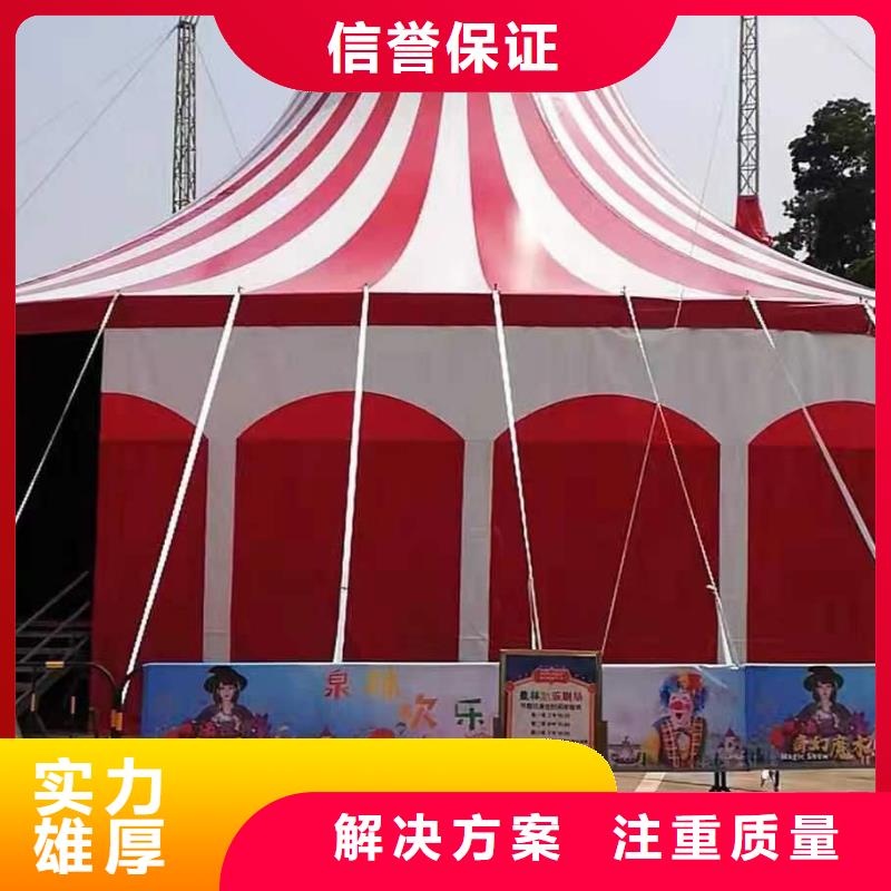 羊驼出租视频-河南省开封市兮洋羊驼出租可服务区域龙亭|金明|商丘|许昌|洛阳|焦作|信阳等