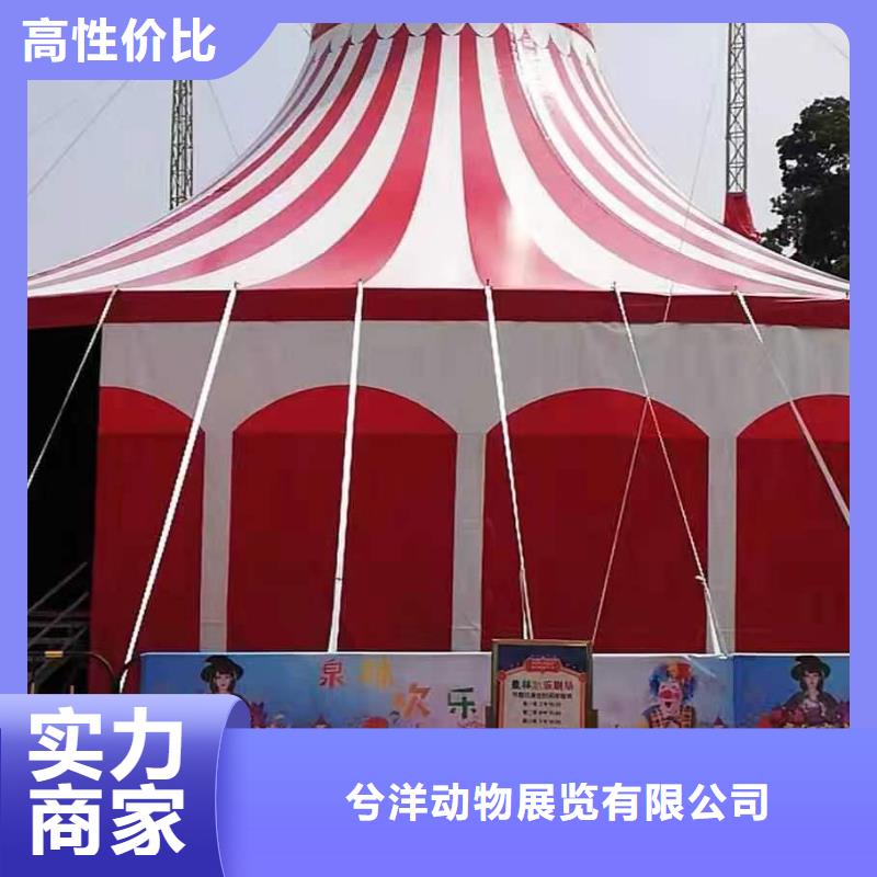 马戏团/羊驼_企鹅出租表演值得信赖