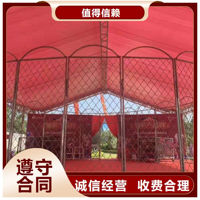 马戏团/羊驼美人鱼表演2025公司