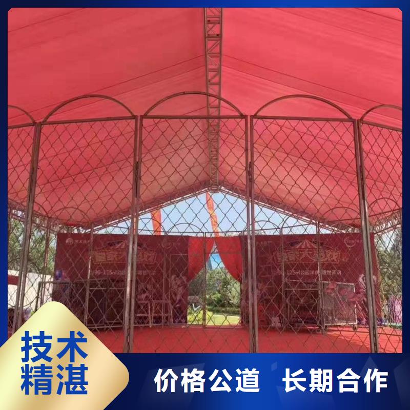 马戏团/羊驼 【海狮杂技表演】多家服务案例