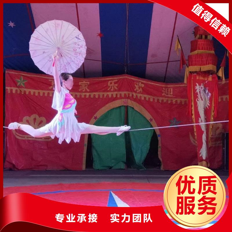 马戏团/羊驼,马戏团表演出租品质优