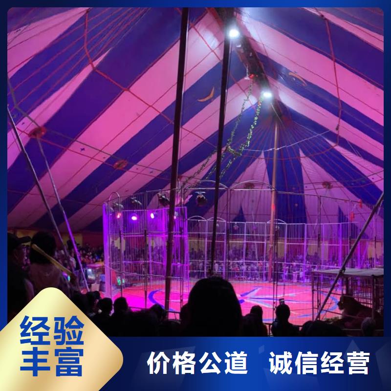 马戏团/羊驼杂耍演出匠心品质