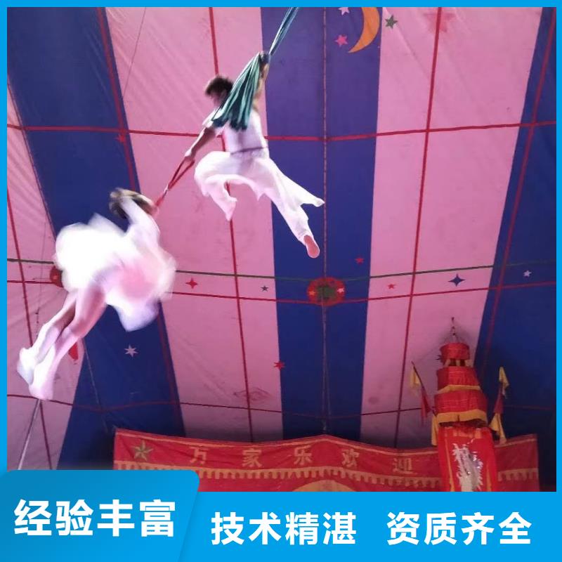 马戏团/羊驼美人鱼表演2025公司