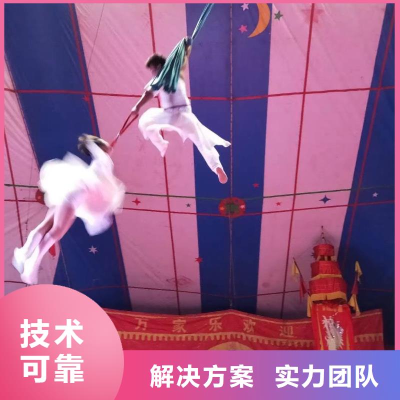 马戏团/羊驼 【出租表演鹦鹉】技术可靠