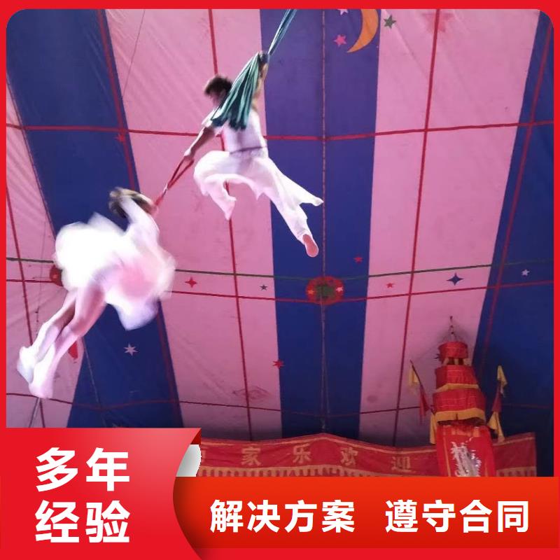 马戏团/羊驼 【马戏团表演出租租赁】拒绝虚高价