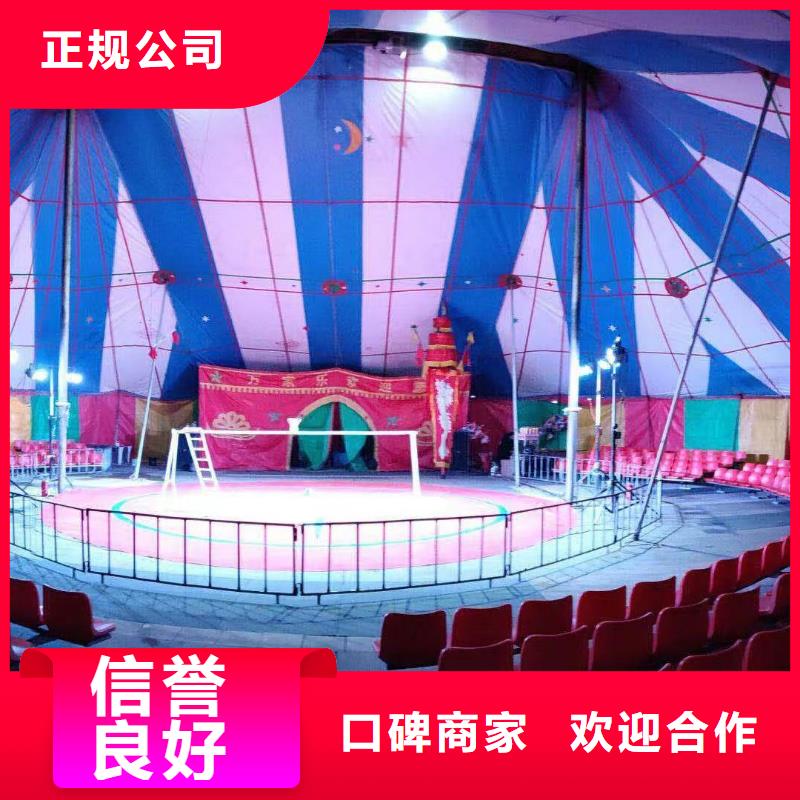 马戏团/羊驼羊驼出租注重质量