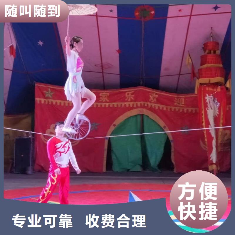 马戏团/羊驼【海狮表演】诚信