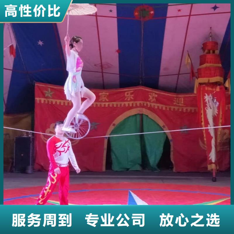 羊驼出租视频-云南省保山市兮洋羊驼出租可服务区域腾冲|施甸|丽江|红河|德宏|玉溪|昆明|怒江等