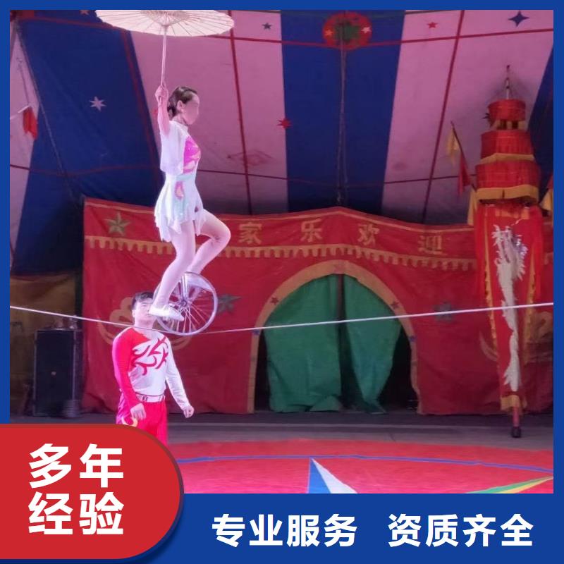 马戏团/羊驼海洋展租赁正规团队