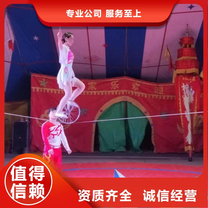马戏团/羊驼企鹅租赁公司