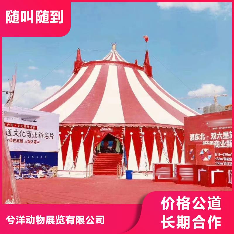 马戏团/羊驼-马戏团表演出租租赁省钱省时