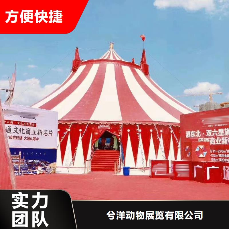 马戏团/羊驼美人鱼表演出租快捷