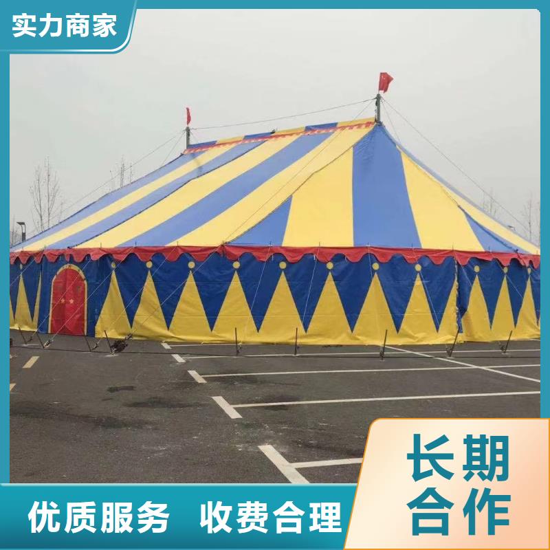 马戏团/羊驼美人鱼表演2025公司