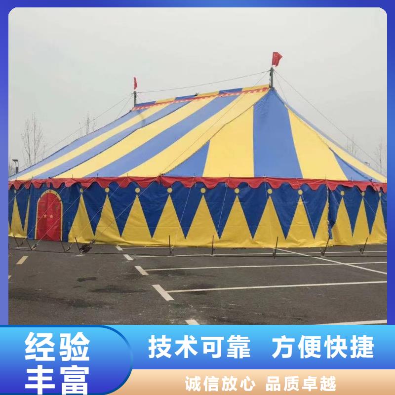马戏团/羊驼 【海狮杂技表演】多家服务案例