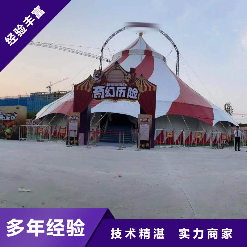 马戏团/羊驼 马戏团表演效果满意为止