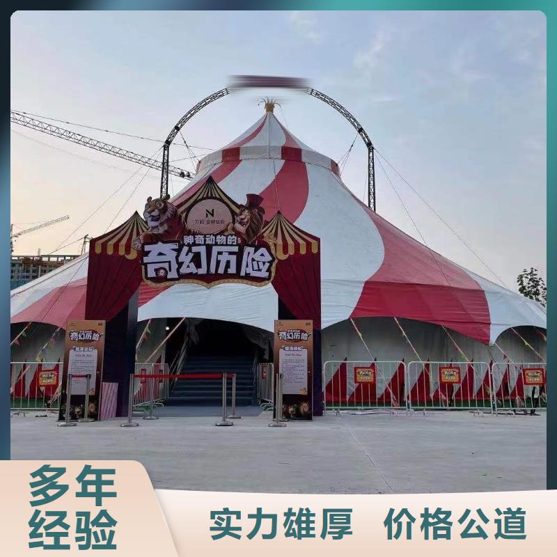 马戏团/羊驼-动物表演出租品质好