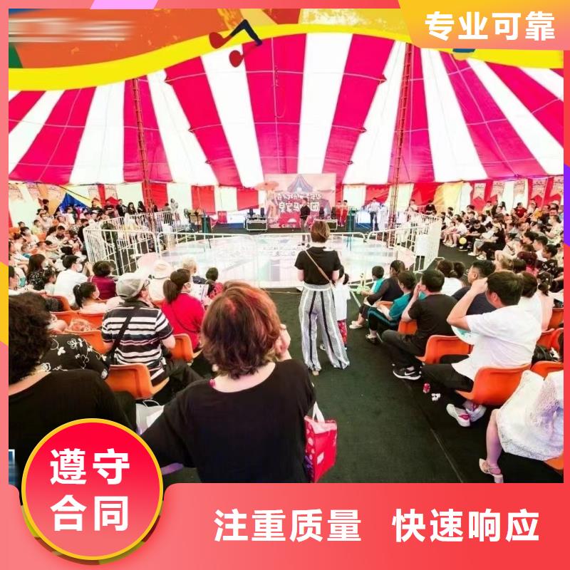 马戏团/羊驼-动物表演出租品质好