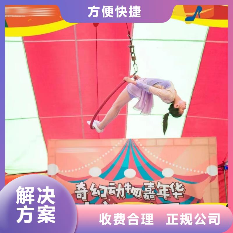 马戏团/羊驼鹦鹉表演值得信赖