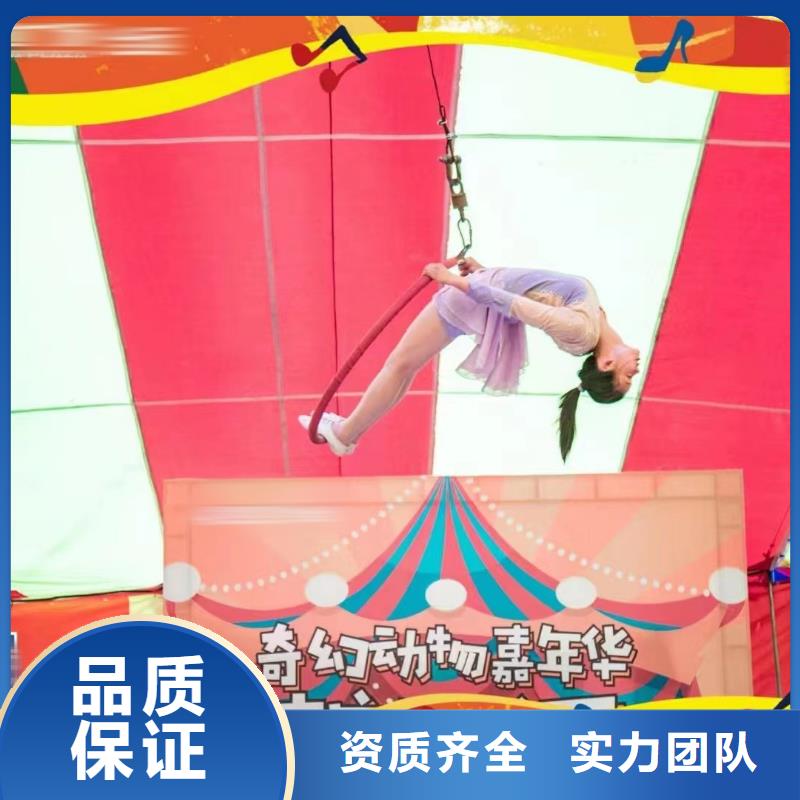 马戏团/羊驼美人鱼表演出租快捷